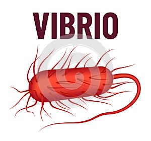 Vibrio bacteria vector illustration isolated on white background. Virus concept