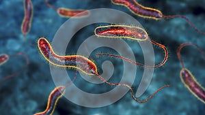 Vibrio cholerae bacteria, 3D illustration