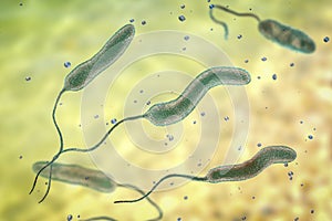 Vibrio cholerae bacteria, 3D illustration