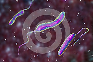 Vibrio cholerae bacteria, 3D illustration