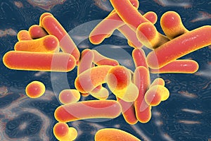 Vibrio cholerae bacterium
