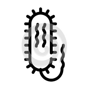 Vibrio cholerae line icon vector isolated illustration