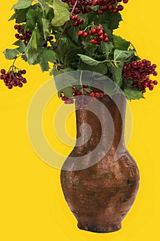 Viburnum branches with berries in an old clay jug