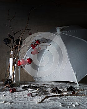 Viburnum branches with berries and snow in a transparent vase, umbrella on wooden table