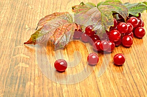 Viburnum guelder rose on wooden background