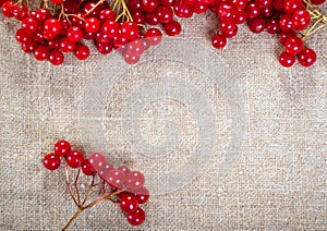 Viburnum on linen background