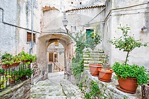 Vico del Gargano, province of Foggia, Puglia, southern Italy. photo