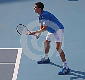 Victor Hanescu (ROU), professional tennis player