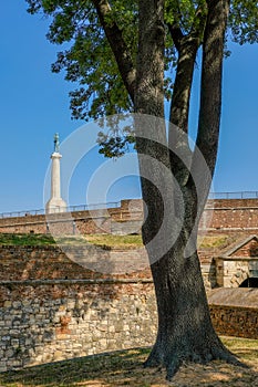 Victor monument, symbol of Belgrade, at Belgrade fortress, Kalemegdan in Serbia