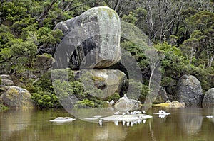 Victoria, Australia ,Wilsons Promontory National park