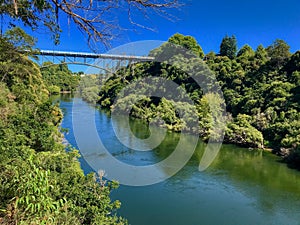 Victoria Bridge in Cambridge, New Zealand