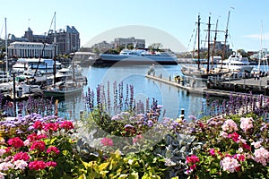 Victoria City Inner Harbor in Summertime
