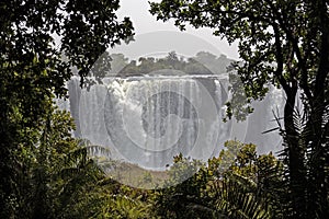 Victoria Falls in Africa with trees framing