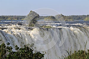 Victoria falls closeup with tree Zimbabwe