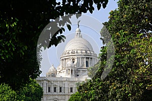 The Victoria Memorial in sub frame of the tree