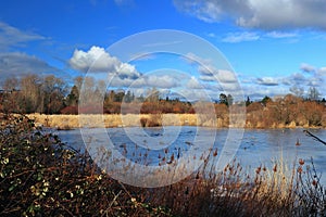 Victoria, Vancouver Island, Frozen Floodplain of Swan Lake Nature Sanctuary on Sunny Winter Day, British Columbia, Canada