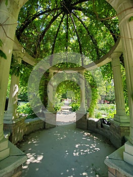 Victorian Gazebo in Waterloo, Ontario