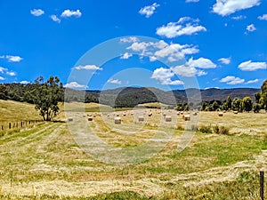 Victorian Rural Country in Australia