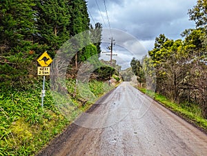 Victorian Rural Country Landscape in Australia