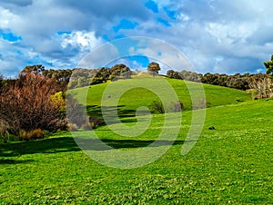 Victorian Rural Country Landscape in Australia