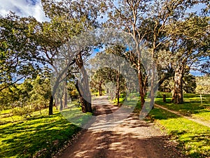 Victorian Rural Country Landscape in Australia