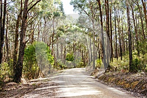 Victorian Rural Country Landscape in Australia