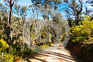 Victorian Rural Country Landscape in Australia