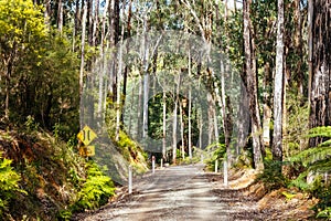 Victorian Rural Country Landscape in Australia