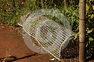 Victorian style cloches photo