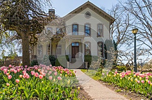 Victorian Style Home with Colorful Spring Blooming Tulips.