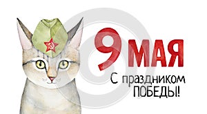 Victory Day May 9 poster with kitten portrait.