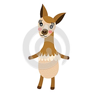 Vicuna standing on two legs animal cartoon character vector illustration
