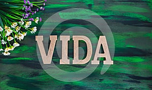 Vida, Life spanish text made with Wooden letters on Hand painted Canvas. photo