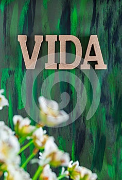 Vida, Life spanish text made with Wooden letters on Hand painted Canvas. photo