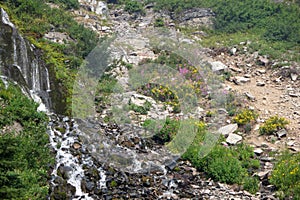 Vidae Falls at Crater Lake