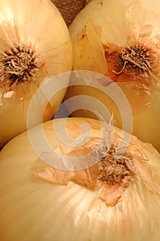Vidalia onions 1 photo