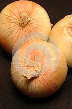 Vidalia onions 16
