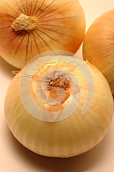 Vidalia onions 3 photo
