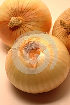 Vidalia onions 6 photo