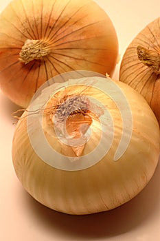 Vidalia onions 6