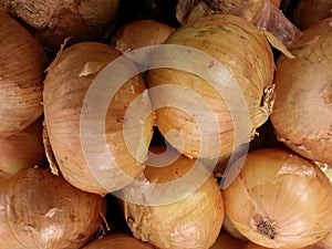 Vidalia onions photo
