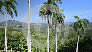 Video 4K of expanses of mountains esker with tall palms. Mountain landscape