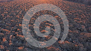 Video of aerial drone view of a plowed field