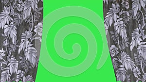 Video Animation - Curtain - Palms Texture - Opening - Green Screen