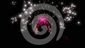 Video animation of firework showing. Fireworks background.