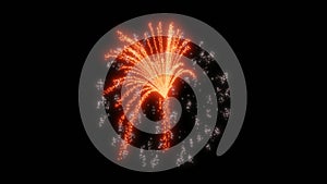 Video animation of fireworks display