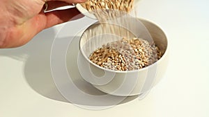 Video of barley grains