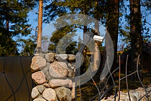 Video camera of the video surveillance system in the pine park. the camera is fixed with a metal bracket to the stone fence. pine