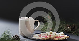 Video of christma cookies, mug of chocolate and copy space on black background