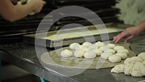 Video clip from the modern bakery. The cook puts sweet buns on a baking sheet.